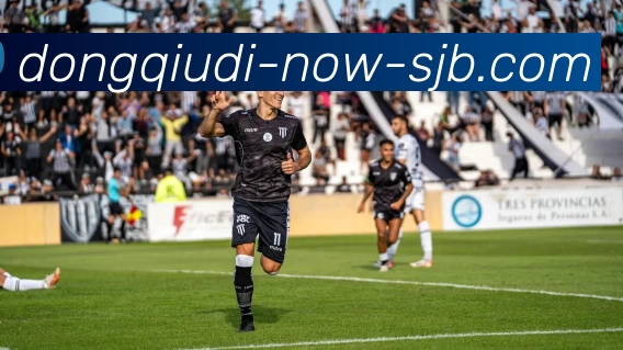 懂球帝，懂球帝官网，懂球帝官方网站，懂球帝入口，懂球帝APP平台生态图